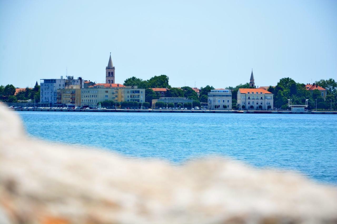 Zita Zadar